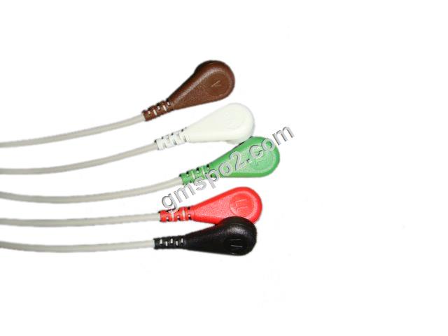 5-vodilni aha snap-.jpg